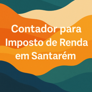 Contador para Imposto de Renda em Santarém